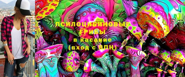 таблы Лабытнанги