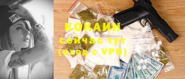 МДПВ Домодедово