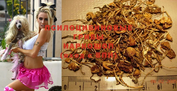 PSILOCYBIN Лагань