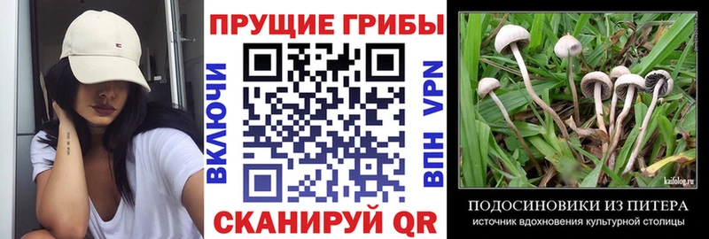 Псилоцибиновые грибы мухоморы Чебоксары