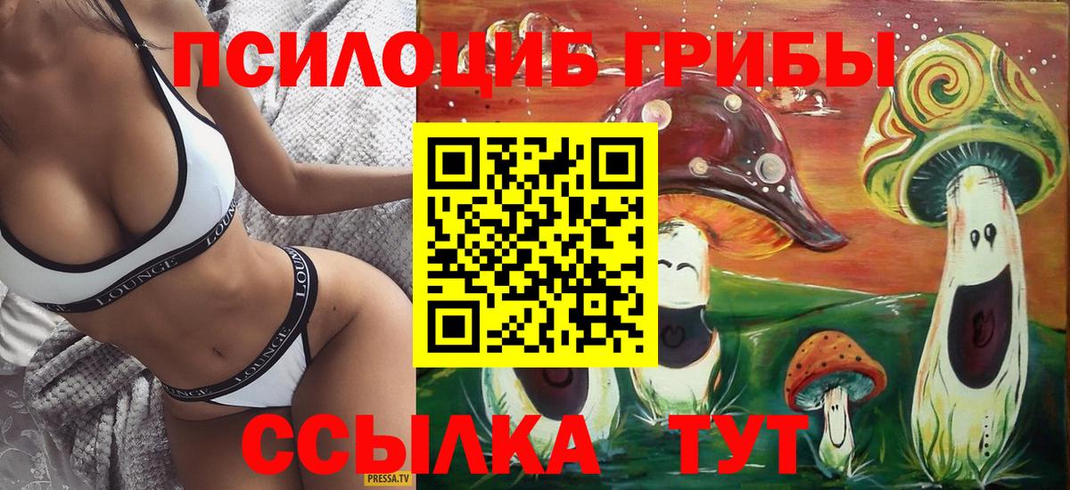Чебоксары  Галлюциногенные грибы Cubensis  Вход с VPN 